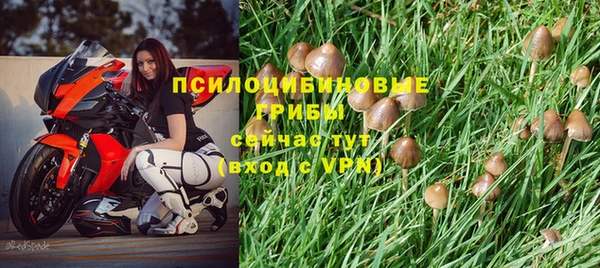 марки lsd Верхний Тагил