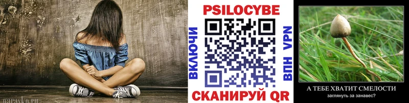 купить наркотики цена  Ветлуга  Галлюциногенные грибы MAGIC MUSHROOMS 