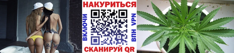 цена   ОМГ ОМГ ONION  МАРИХУАНА семена  Ветлуга 